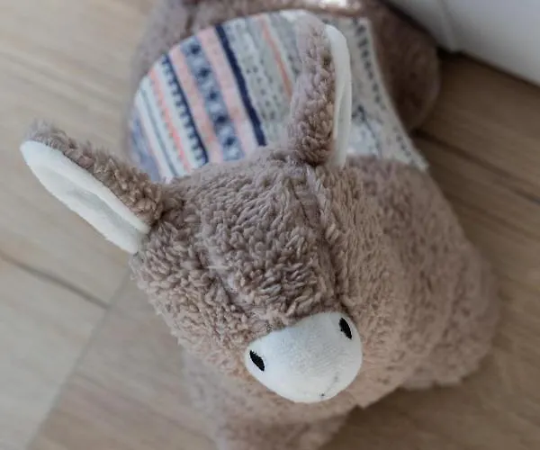 Cztery Pory Roku By Renters * Kolberg